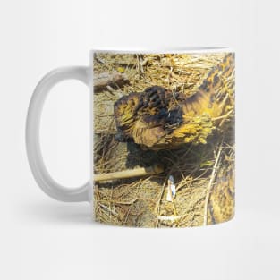 A dead wood looks like an animal Mug